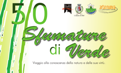 50 SFUMATURE DI VERDE